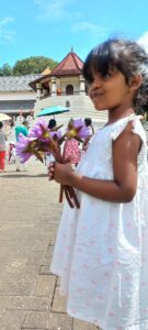 visit kandy dalada maligawa - temple tooth