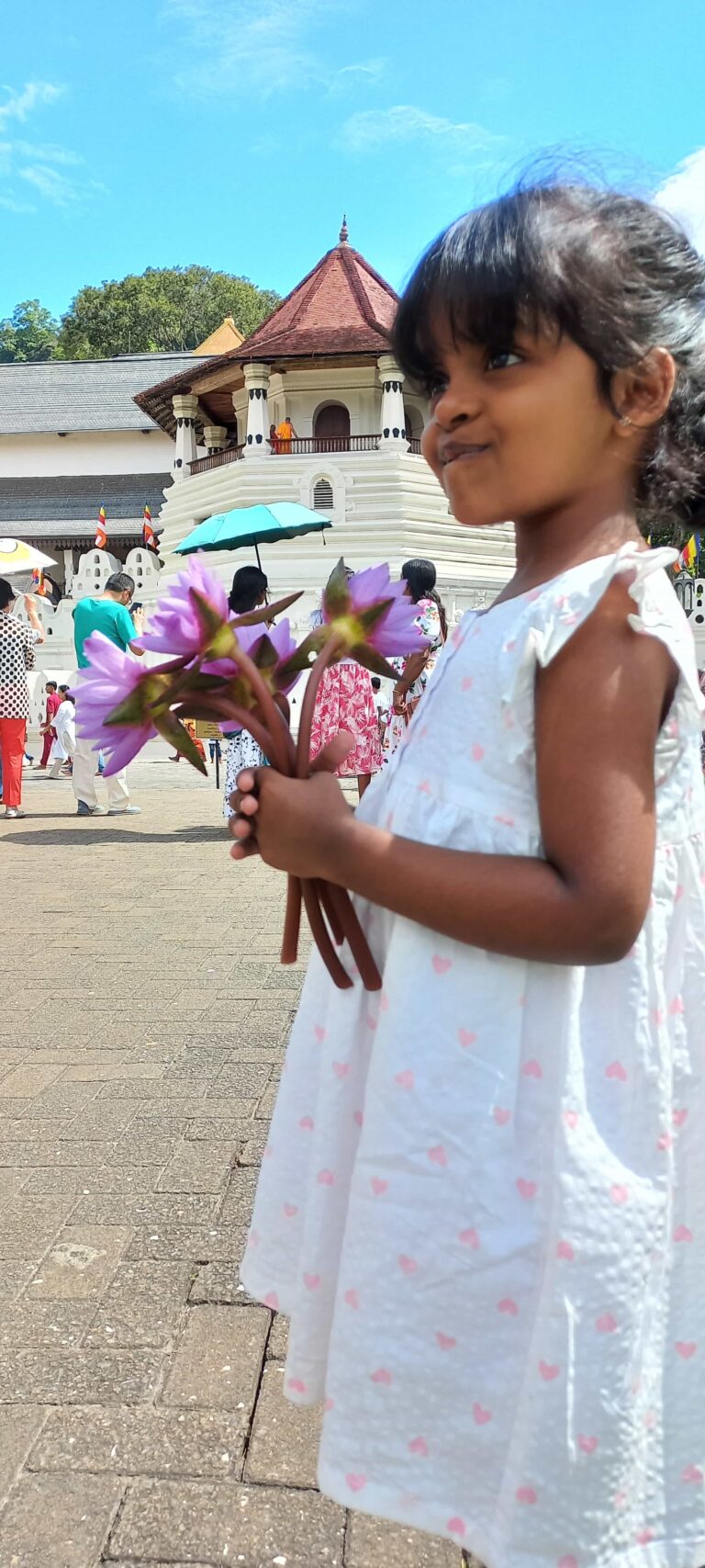 visit kandy dalada maligawa - temple tooth